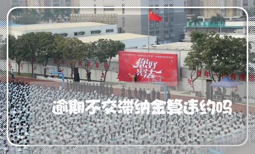 逾期不交滞纳金算违约吗