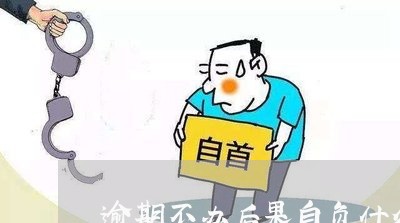 逾期不办后果自负什么意思