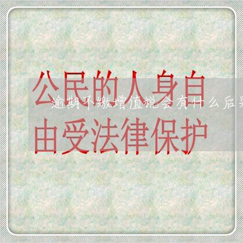 逾期不缴增值税会有什么后果