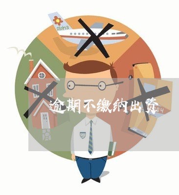 逾期不缴纳出资 逾期不缴纳出资