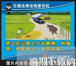 逾期不缴纳租金法律函 逾期不缴纳租金法律函
