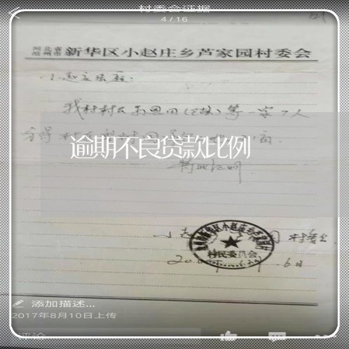 逾期不良贷款比例
