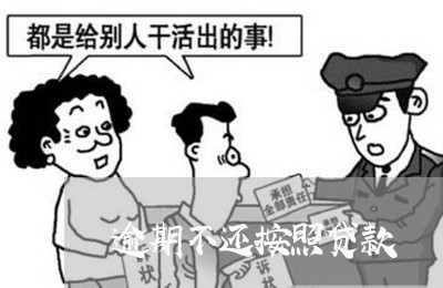 逾期不还按照贷款 逾期不还按照贷款