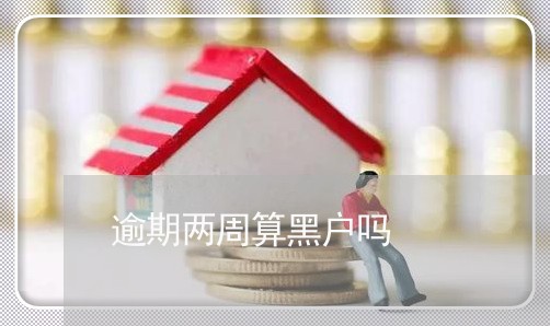 逾期两周算黑户吗