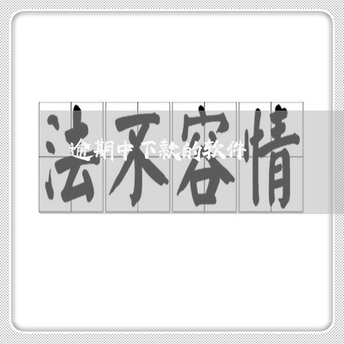 逾期中下款的软件