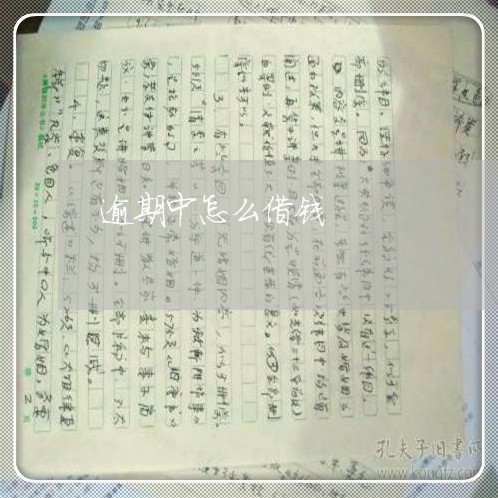 逾期中怎么借钱