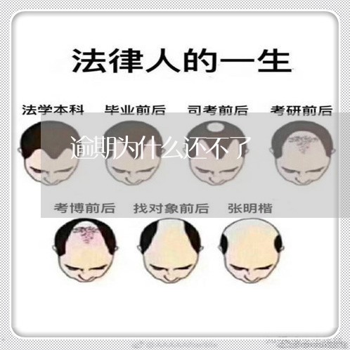 逾期为什么还不了/2023022716250 逾期为什么还不了/2023022716250