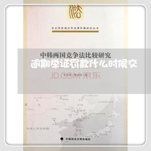 逾期举证罚款什么时侯交