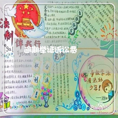 逾期举证诉讼费