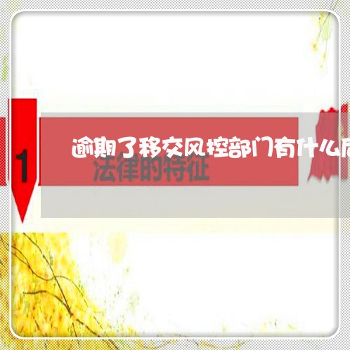 逾期了移交风控部门有什么后果/2023021725047 逾期了移交风控部门有什么后果/2023021725047