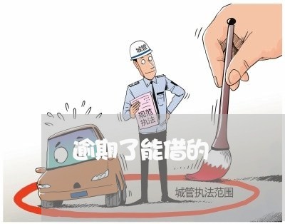 逾期了能借的
