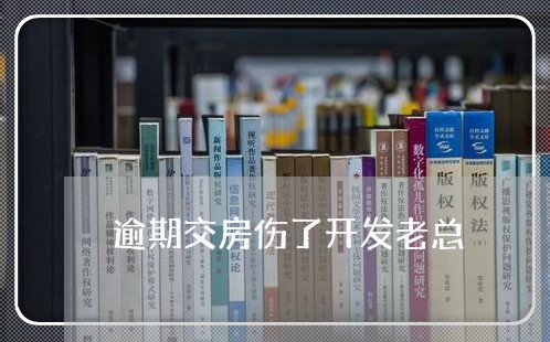 逾期交房伤了开发老总/2023041791682