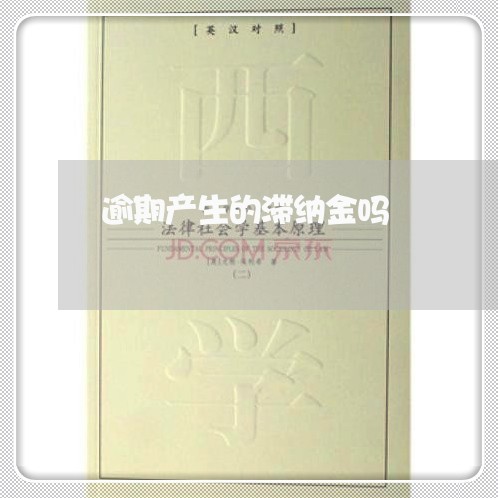 逾期产生的滞纳金吗