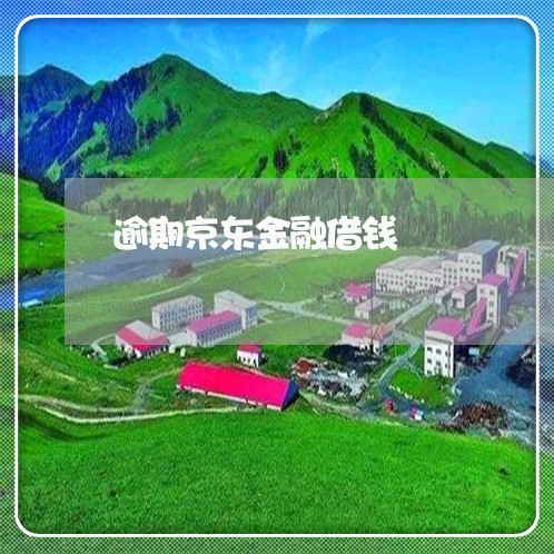 逾期京东金融借钱