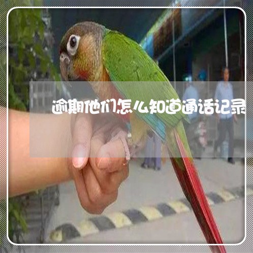 逾期他们怎么知道通话记录