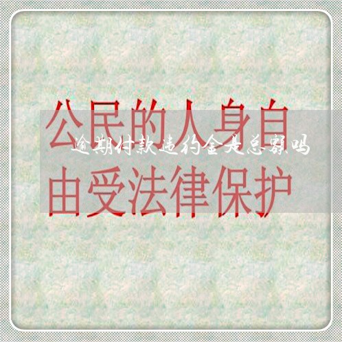 逾期付款违约金是总额吗