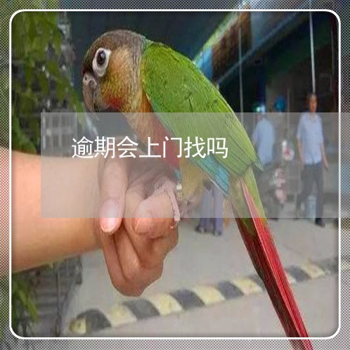 逾期会上门找吗