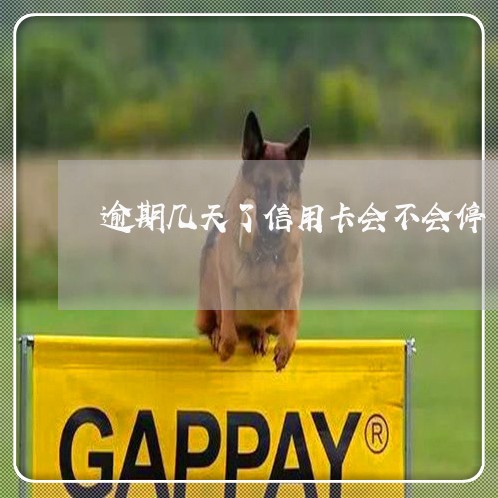 逾期几天了信用卡会不会停 逾期几天了信用卡会不会停