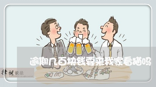 逾期几百块钱要来我家看猫吗