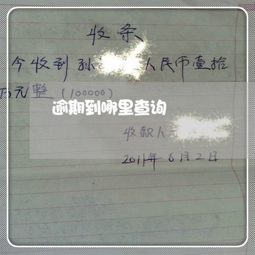 逾期到哪里查询