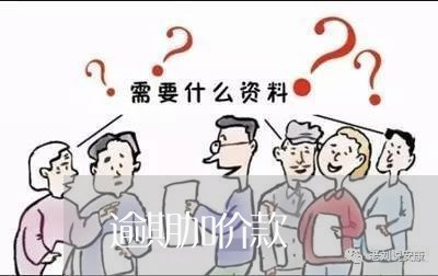 逾期加价款 逾期加价款