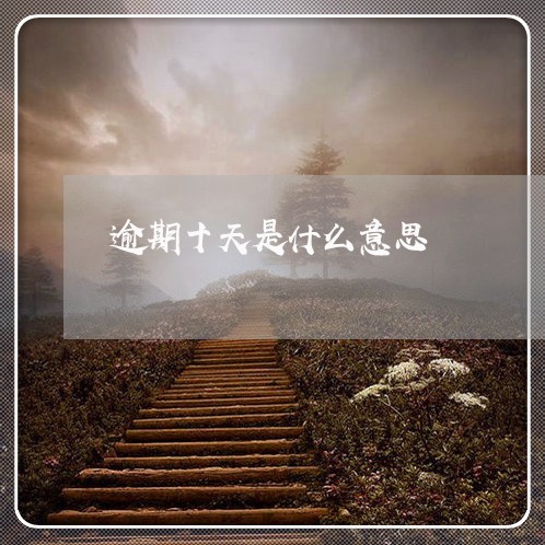 逾期十天是什么意思
