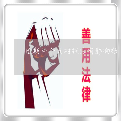 逾期半个月对征信有影响吗/2023022885846