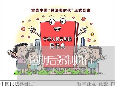 逾期后强制执行 逾期后强制执行