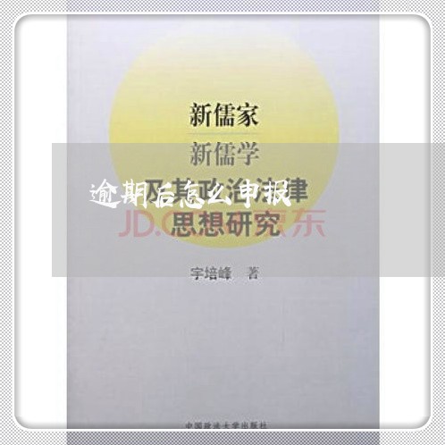 逾期后怎么申报