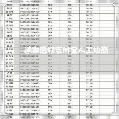 逾期后打支付宝人工协商/2023020994903