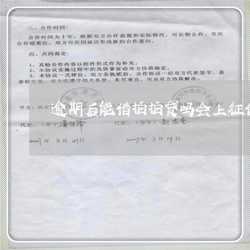 逾期后能借拍拍贷吗会上征信/2023032507039