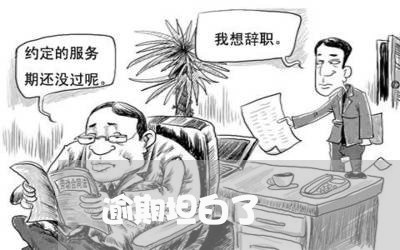逾期坦白了 逾期坦白了