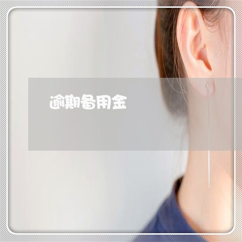 逾期备用金 逾期备用金