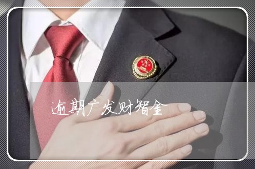 逾期广发财智金/2023071472404