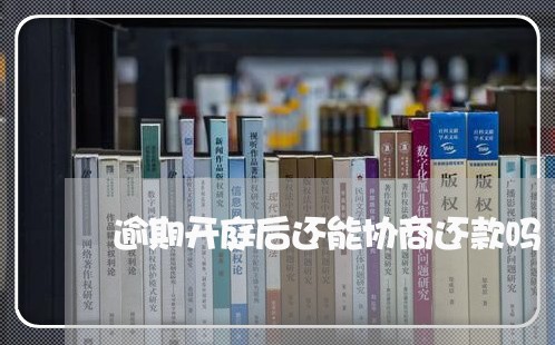 逾期开庭后还能协商还款吗/2023071172604