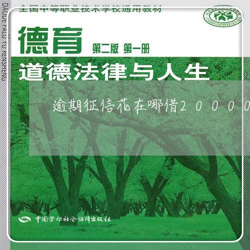 逾期征信花在哪借20000