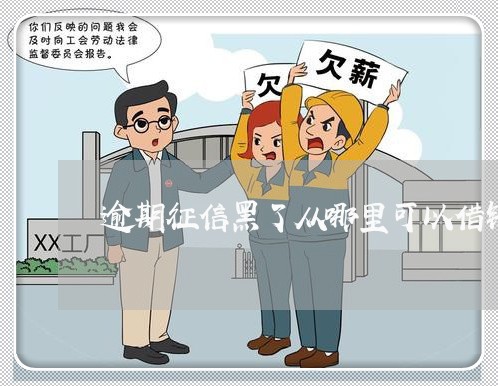 逾期征信黑了从哪里可以借钱 逾期征信黑了从哪里可以借钱