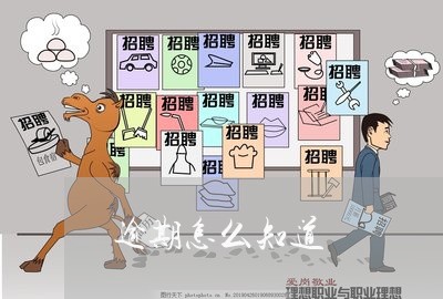 逾期怎么知道
