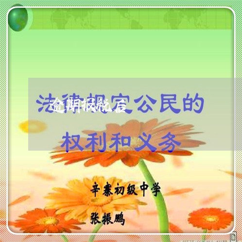 逾期报税后