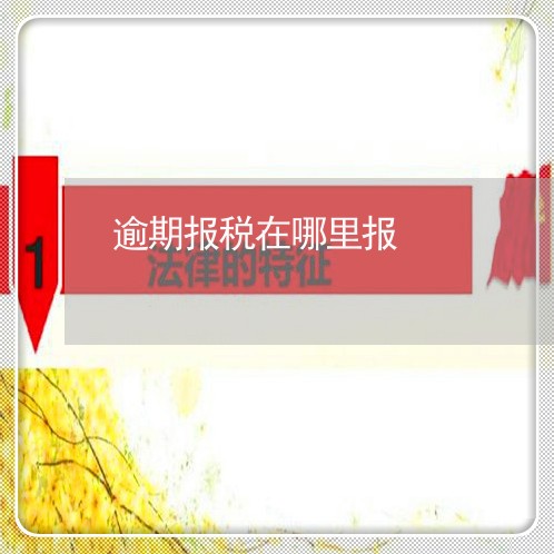 逾期报税在哪里报
