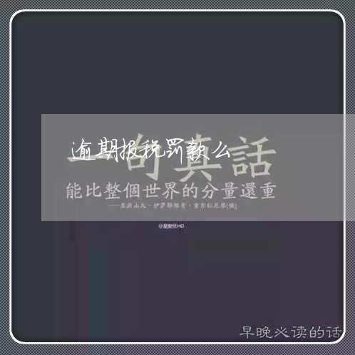逾期报税罚款么