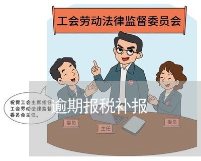 逾期报税补报