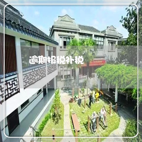逾期报税补税 逾期报税补税