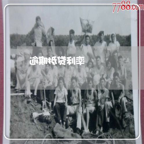 逾期抵贷利率
