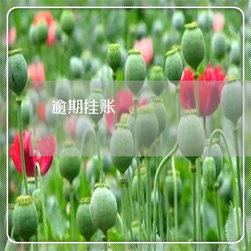 逾期挂账