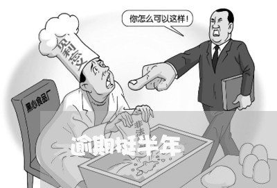 逾期挺半年