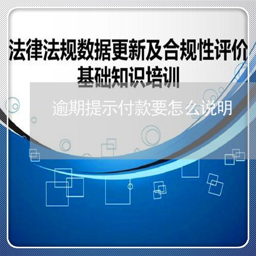 逾期提示付款要怎么说明/2023120928470