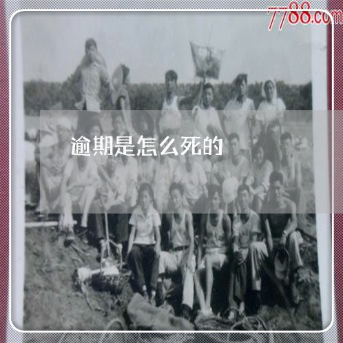 逾期是怎么死的