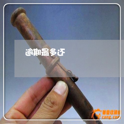 逾期最多还 逾期最多还