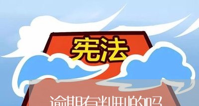 逾期有判刑的吗